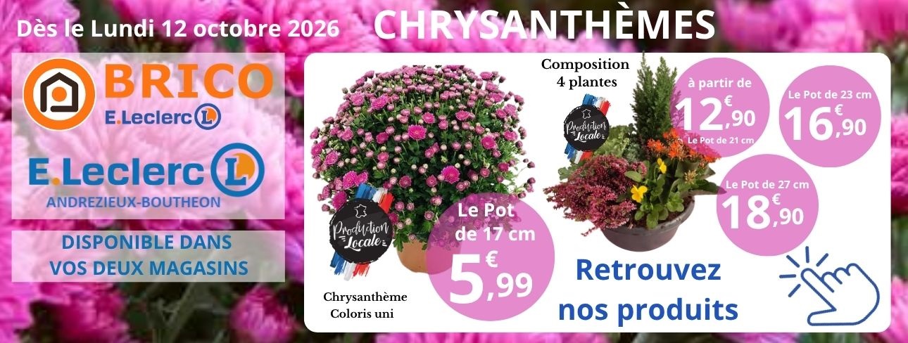RACCOURCI DE PRESENTATION catalogue chrysanthème ANDREZIEUX BOUTHEON BRICO E.LECLERC .